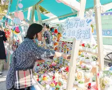 lol战争学院-社区盾倒计时；成都蓉城加时末段复出首秀；细节引发关注；底气十足；纪律约束更严格(成都蓉城赛季末战上海申花)